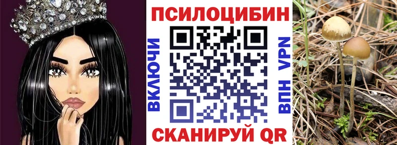 Галлюциногенные грибы Cubensis Нижние Серги